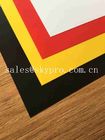 Die Cut Plastic OEM Rigid Transparent Color PVC Conveyor Belt PP PET Plastic Sheet