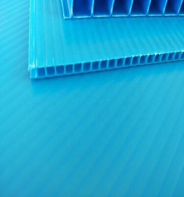 Custom Size Recyclable Waterproof PP Plastic Corrugated Sheet for Box Packaging