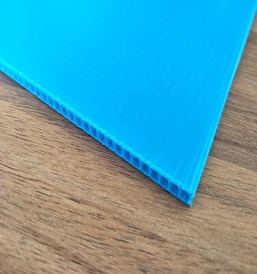 Custom Size Recyclable Waterproof PP Plastic Corrugated Sheet for Box Packaging
